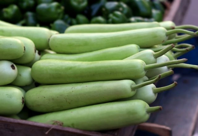 Bottle gourd