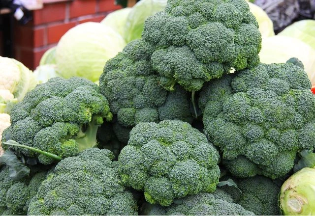 Fresh Broccoli_