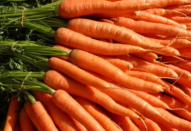 Fresh Carrots