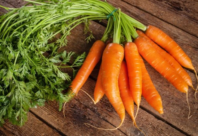 Fresh_Carrots