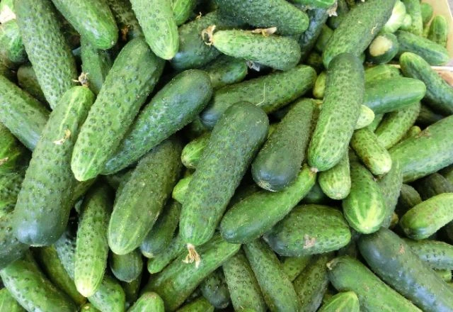 Fresh_Cucumber